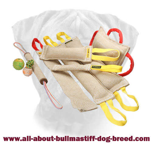 Jute Bullmastiff Training Set with 3 gifts