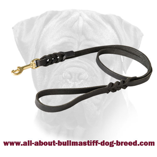 High Quality Leather Bullmastiff Leash for Walking