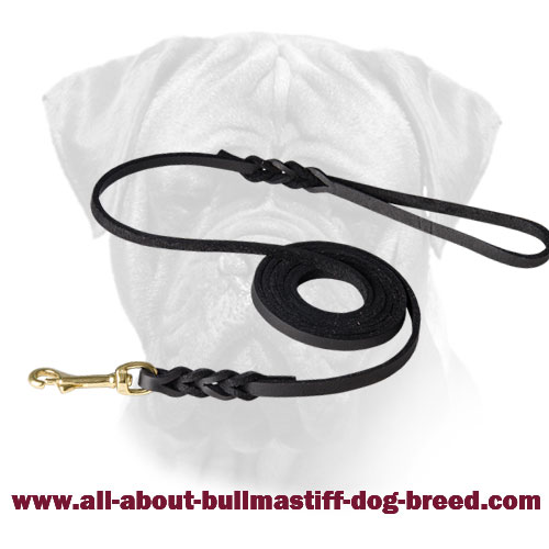 Luxury Leather Braid Decorated Leash for Bullmastiff