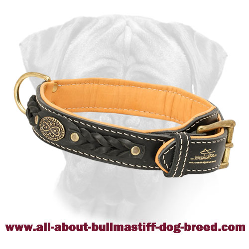 New Braided Leather Bullmastiff Collar Nappa Padded