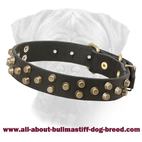 Extraordinary Bullmastiff Leather Collar - Fashion "Galaxy Trip" Style