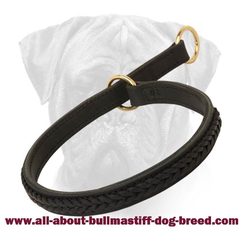 Gorgeous Wide 2 Ply Leather Choke Dog Collar - Fashion Exclusive