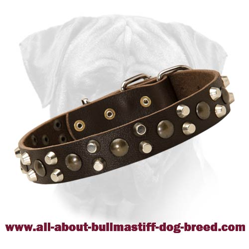 Studded Leather Dog Collar for Bullmastiff With Pyramids