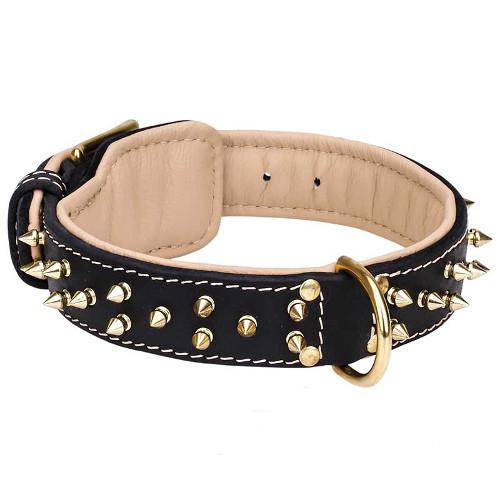 Big collar-Studs and Spikes leather dog collar for Large breeds