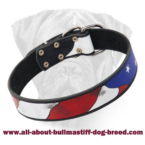 American Flag Dog Collar for Bullmastiff -Leather usa collar