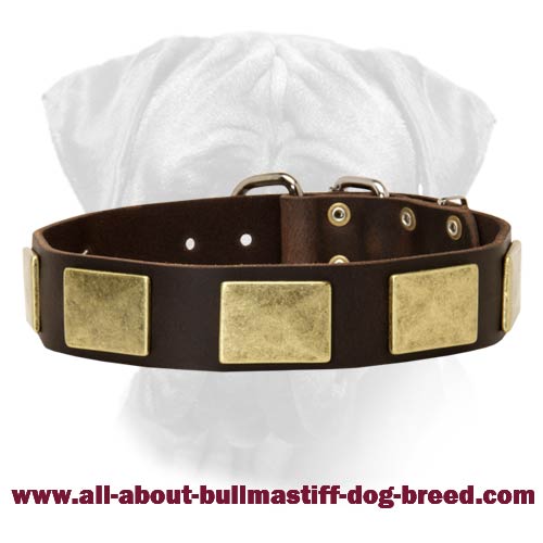 Handcrafted Leather Dog Collar With Vintage Massive Brass Plated Plates