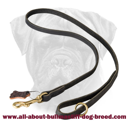Handcrafted Leather Bullmastiff Leash for Walking and Tracking