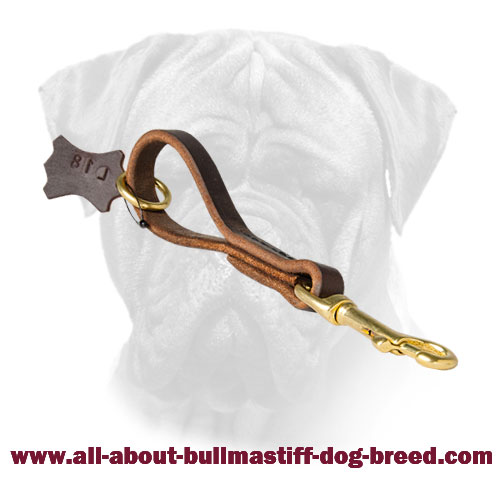 Easy Fast Grab Pull Tab Bullmastiff Leash