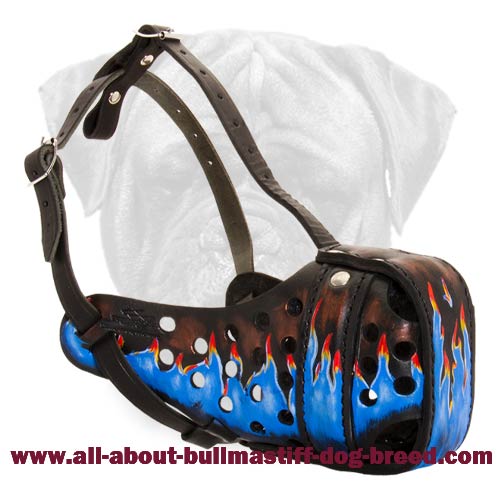 Hand-Painted Leather Muzzle for Bullmastiff Walking and Training