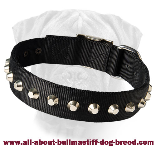 1 Row Studs Dog Collar-1 1/4" for Bullmastiff