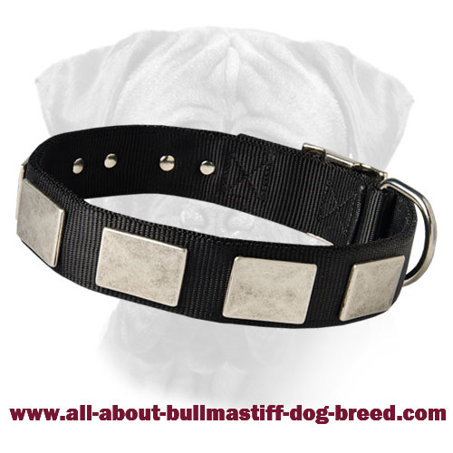 Nylon Dog Collar For Large and Medium Breeds With Vintage Plates
