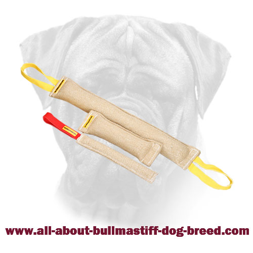 Jute Bite Tugs Training Set for Bullmastiff