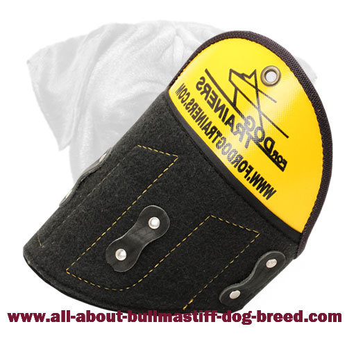 Shoulder Protector for Bullmastiff Training