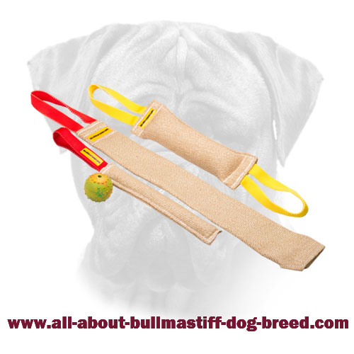 Jute Bite Tugs Set for Bullmastiff Puppy + Free Training Toy