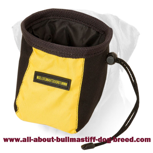 Treat Pouch "Free Hands" Lightweight for Dry Food