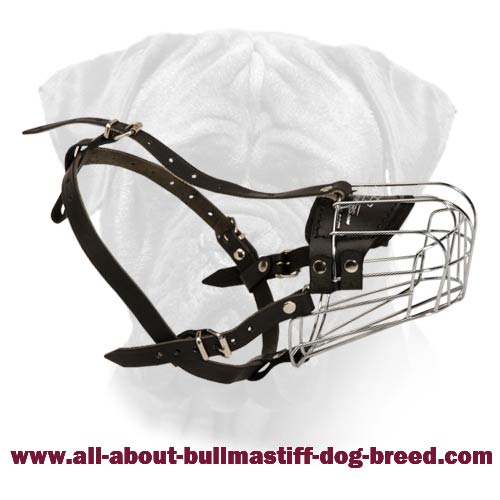 Super Bullmastiff Wire Basket Dog Muzzle