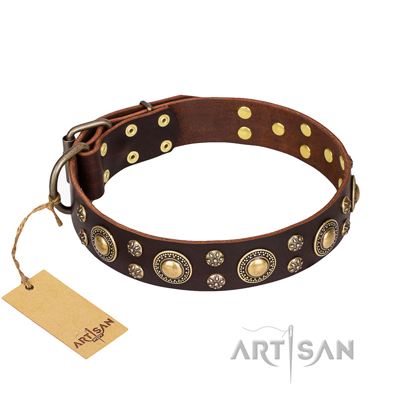 'Flower Melody' Bullmastiff FDT Artisan Brown Leather Dog Collar with Mixed Studs