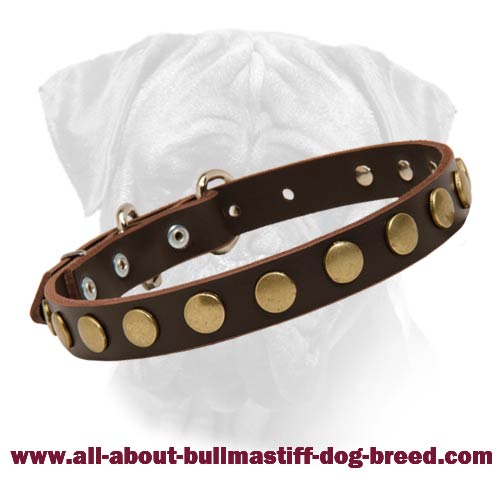 Special Bullmastiff Dog Leather Collar With Brass Circles