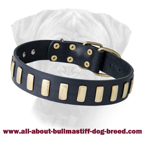 Bullmastiff Leather Collar Decorated with Metal Plates