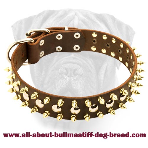 Leather Dog Collar with Nickel Studs and Brass Spikes for Bullmastiff