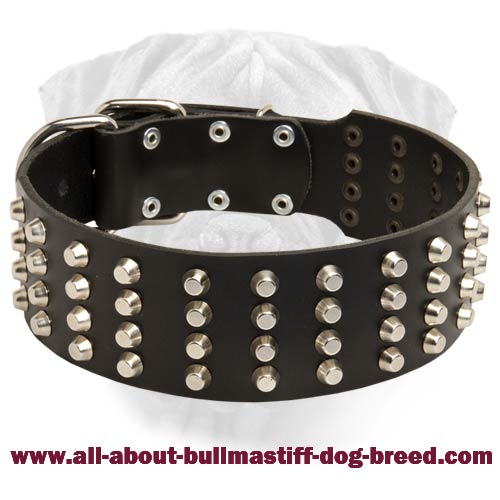 Wide Studded Leather Dog Collar for Bullmastiff