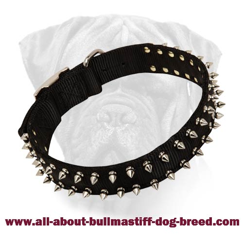 Bullmastiff Collar Spiked Black Nylon