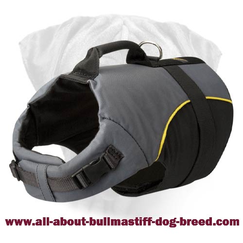 Giant Breed Nylon Dog Collars Giant Breed Nylon Dog Collars