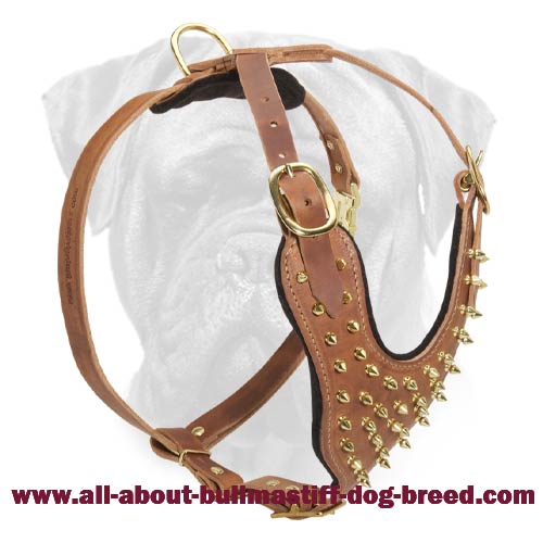 Designer Spiked Leather Dog Harness for Bullmastiff Breed Walking
