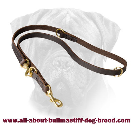 Leather Multifunctional Leash for Bullmastiff