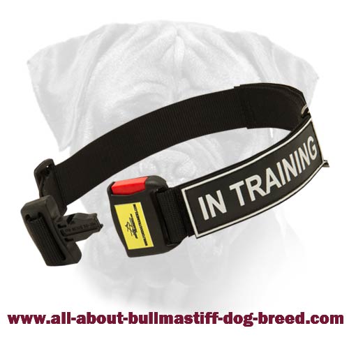 Nylon Bullmastiff Collar With Various Patches And Quick Release Buckle