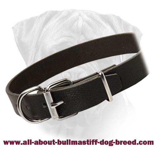 Bullmastiff Selected Leather Classical Dog Collar - 1 1/5 inch Wide