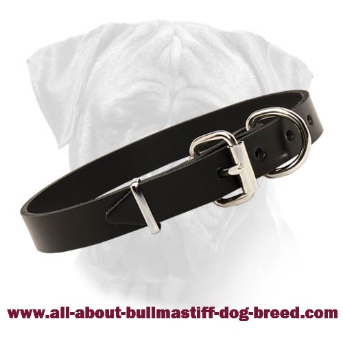 Bullmastiff Standard Leather Collar With Easy Fixed Buckle