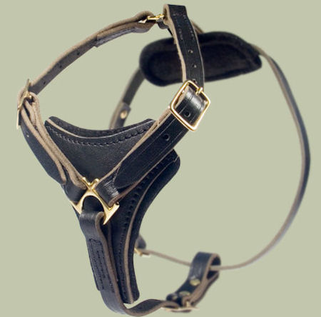 Dog Chest Harness for Bullmastiff-Leather harness