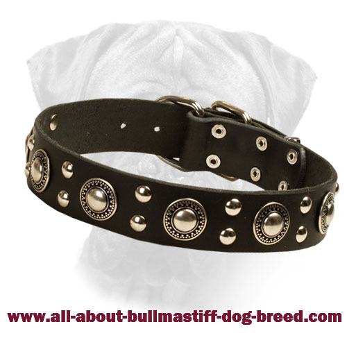 Unbelievable Leather Bullmastiff Collar "Silver Knights"