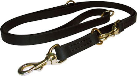 Dog Leash Training for Bullmastiff-Training Lead