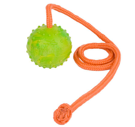 Training DOG BALL on a String-Dog Rubber Ball for Bullmastiff