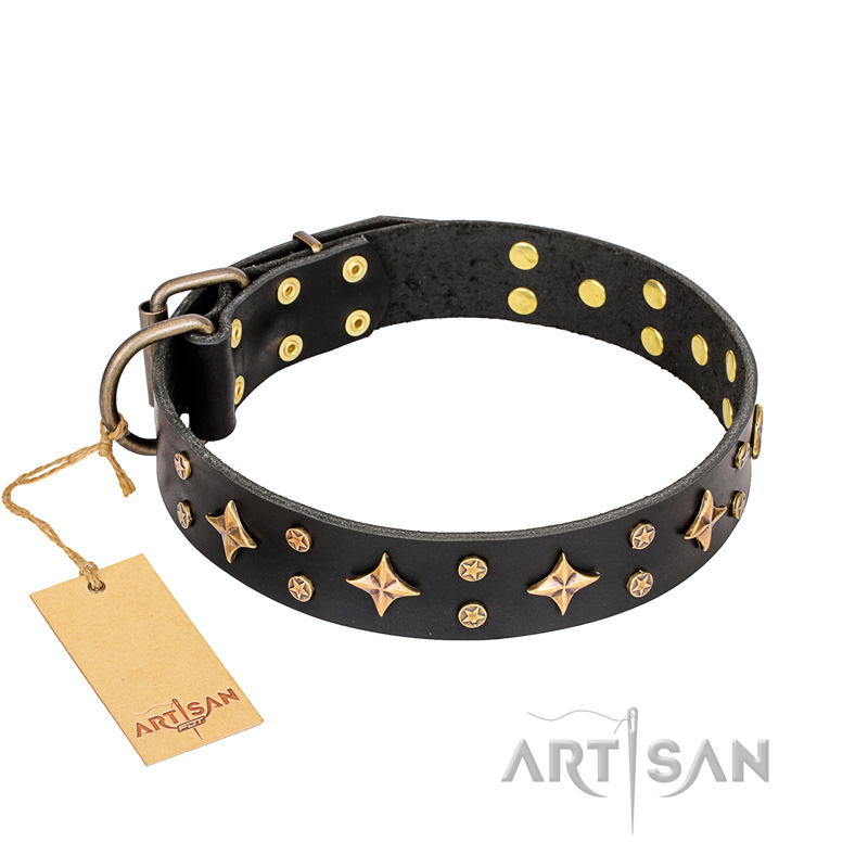 'A La Mode' FDT Artisan Handmade Black Leather Bullmastiff Collar