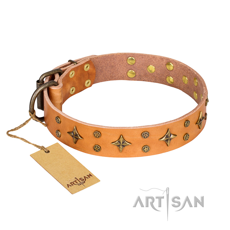 'Top-Flight' FDT Artisan Adorned Tan Leather Bullmastiff Collar