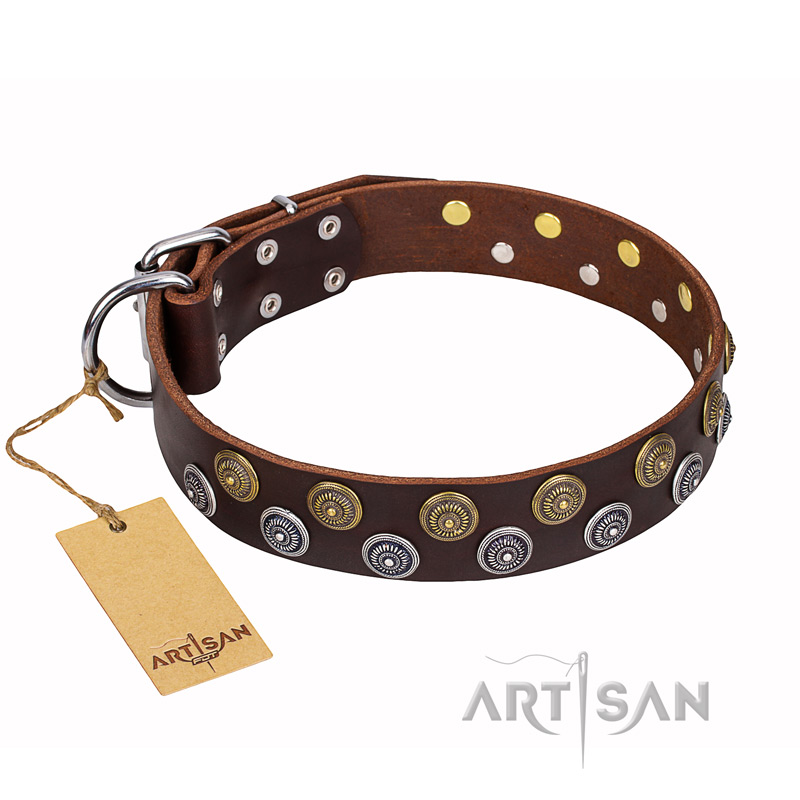 'Strong Shields' FDT Artisan Wide Leather Bullmastiff Collar Adorned with Studs