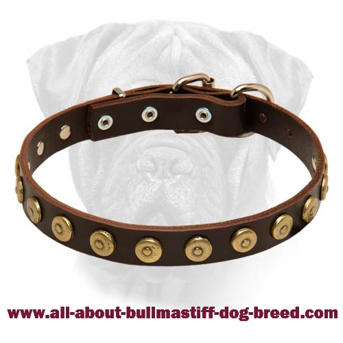 Bullmastiff Gorgeous Wide Leather Dog Collar With Dotted Circles