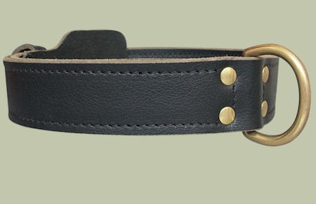 Double Layer Collar 1 3/4 inch for Bullmastiff