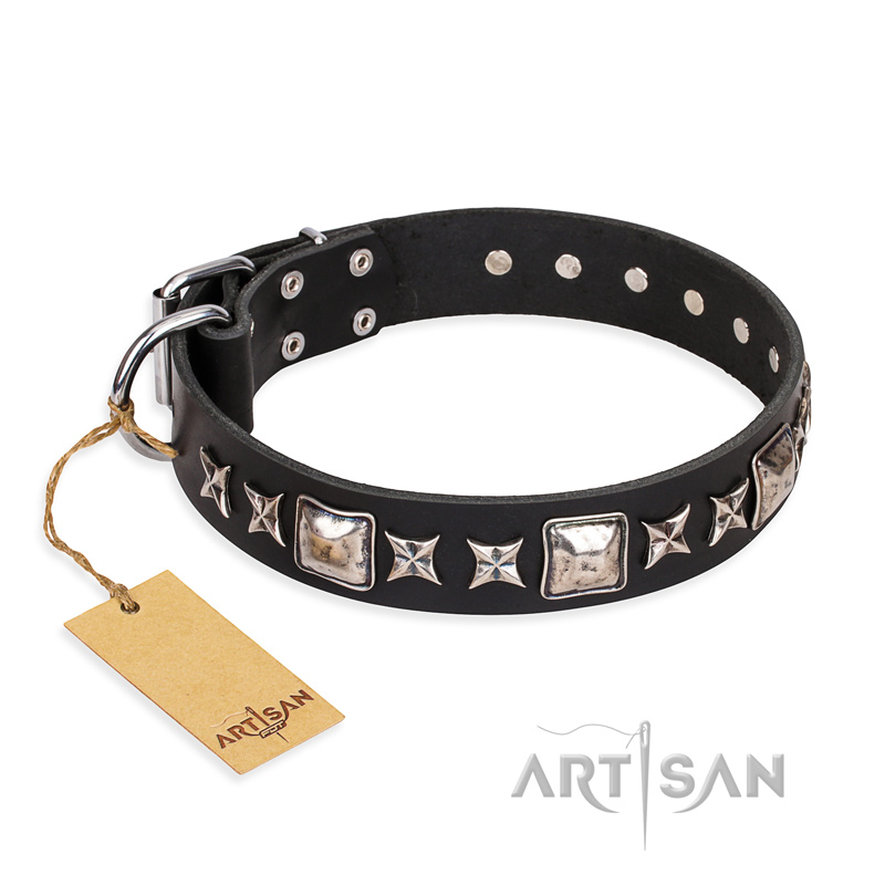 'Space Walk' FDT Artisan Black Leather Bullmastiff Collar with Adornments