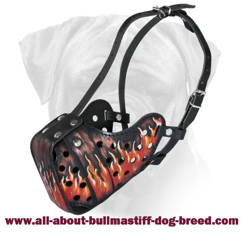 Adjustable Leather Bullmastiff Muzzle with Fire Flames Painting