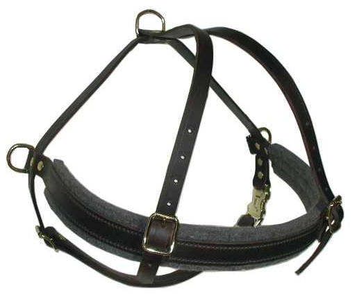 Full Chest Latigo Roading Harness for Bullmastiff