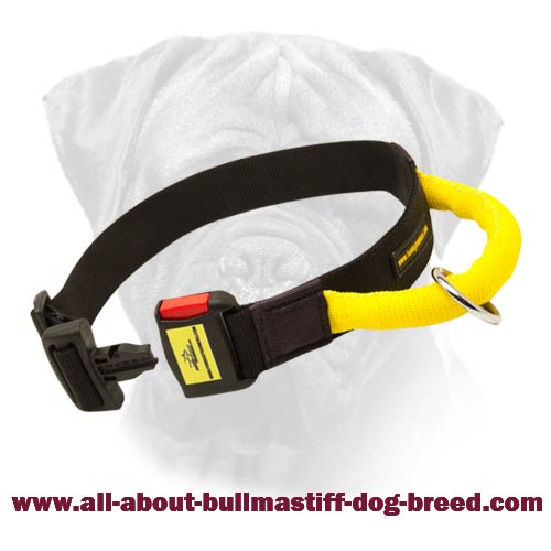 Modish Bullmastiff Quick Release Nylon Collar With Handle