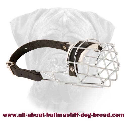 'The Silencer' Handcrafted Wire Cage Bullmastiff Muzzle