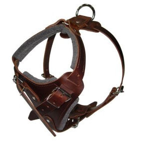 Hands Free Control Dog Harness for BullMastiff