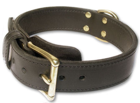 Heavy 2-Ply leather dog collar for BullMastiff