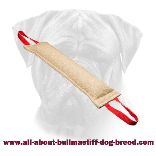 Bite Tug for Training Young and Adult Bullmastiffs