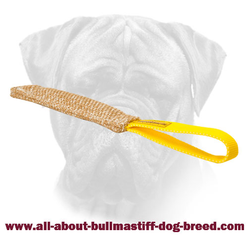 Bullmastiff Jute Bite Tug with Comfortable Loop